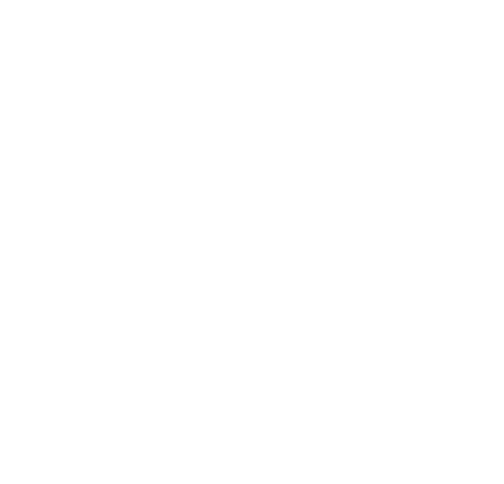 Tundra Icon